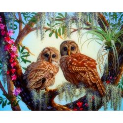 Опт-картина / Painting by numbers 40x50 Pair of owls on a branch