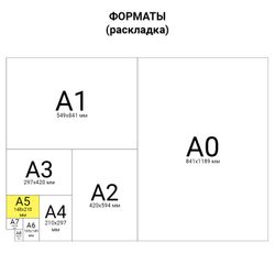 The form of accounting, offset, "Demand-bill" (Form M-11), A5 (154х216 mm) SPIKE 100 PCs.