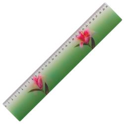 3D ruler, 30 cm, BRAUBERG, the effect of the movement, "Amazing flower", Euro slot