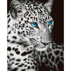 Опт-картина / Paint by number CAKADU 40x50 Leopard