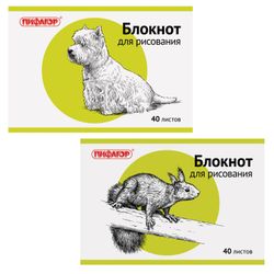 ПИФАГОР / Drawing pad "Animals" 2 types, 40 sheets of A4, 200x285 mm, staple, offset cover, horizontal