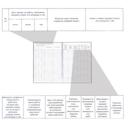 Book of accounting of the movement of labor books and liners to them, 48 sheets, A4, 210x290 mm, cardboard, offset