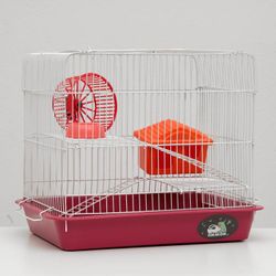 Пижон / Cage à rongeurs n° 3, à 2 étages, 33 x 24 x 28 cm, rubis
