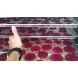 DRAGONFRUIT - DRIED PITAHAYA (PRODUCER)