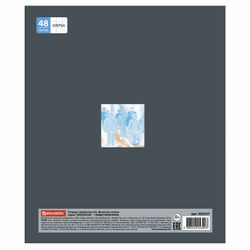 BRAUBERG / Notebook subject NAVIGATOR 48 sheets, selective varnish, SOCIETY, cage, tip / 10 pcs.