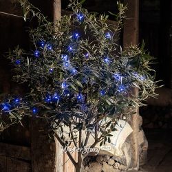 Kaemingk / LED garland Volumetric 120 blue LED lamps 9 m, black PVC, controller, IP44