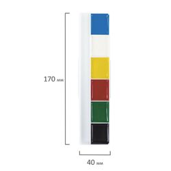 Paint watercolor ONLANDIA "JOLLY BEE" honey, 6 colors, CLASSIC, cardboard