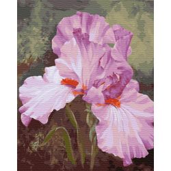 ВанГогВоМне / VanGogVoMne / Paint by number "Pink iris" 40x50 cm