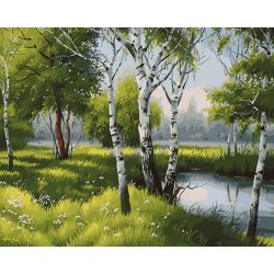 Опт-картина / Painting by numbers 40x50 Birches by the river