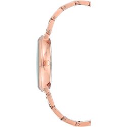 Reloj Anne Klein / Daily 3168RGRG