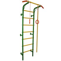 ФСИ Аналитика / FSI Analytica / DSK "Acrobat" verde-giallo