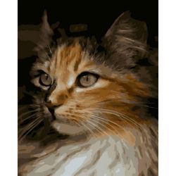Опт-картина / Pintura por números 40x50 Ginger cat