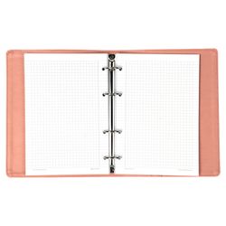 BRAUBERG / Notebook on rings A5 (180x220 mm), 120 sh., Textured leather, "Joy", pink / light pink / 2 pcs.