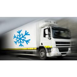 Controlled temperature transport