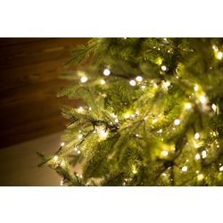 Spruce artificial light "Valerio" premium