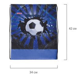 Shoe bag PYTHAGORAS 1 office, 42х34 see "Sports"