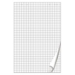 BRAUBERG / Flipchart notebook, 50 sheets, 67.5x98 cm, 80 g / m2, cage