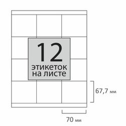 不干胶标签 70x67.7 毫米，12 个标签，65 克/平方米，100 张，STAFF“EVERYDAY”（原材料芬兰）