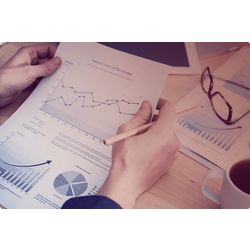 Analysis of market and competitors
