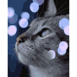 Опт-картина / Pintura por números 40x50 Olhar de gato