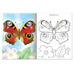 Coloring book A5, 8 sheets, HATBER, First lessons, "Butterflies"