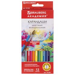 Colored pencils watercolor BRAUBERG "ACADEMY", 12 color, hexagonal, high quality
