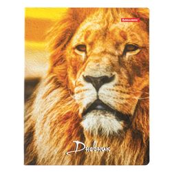 BRAUBERG / Diary 5-11 grade 48 y., LIGHT-cover, glossy lamination, with a tip, "Lion" / 10 pcs.