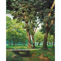 Опт-картина / Painting by numbers 40x50 Wooden bridge in the forest