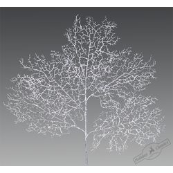 Holiday Classics / Fern branch "Silver Coral Reefs", 76 cm