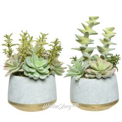 Kaemingk / Artificial potted plant Echeveria Lilicina 22 cm