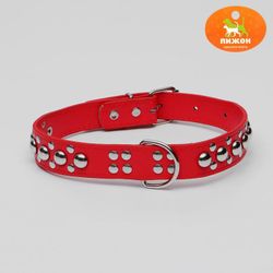 Пижон / Dude / Collar "Sirius", leatherette with rivets, 57 x 3 cm, red
