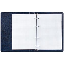 ДПС / 笔记本环 A5（140x205 毫米），90 英寸，PVC 外壳，笼子，蓝色 / 10 件。