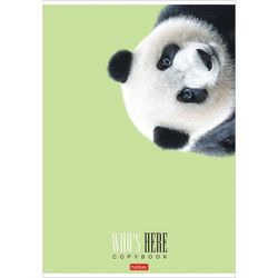 HATBER / Máy tính xách tay A4 96 tr. khung, lồng, cán mờ, "Ai ở đây?" / 9 chiếc.