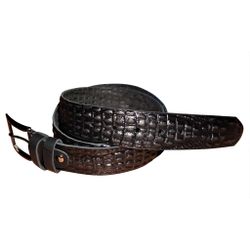 Belt with a snake