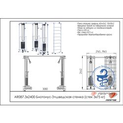 ARMS / Trainer "Biotonus-3" + wall bars