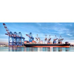 Delivery of goods by sea