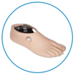 Carbon fiber foot with polyurethane heel