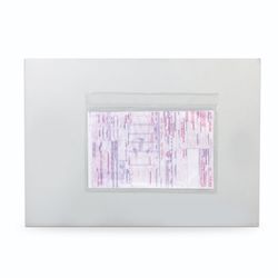 The package of ACCOMPANYING DOCUMENTS, plastic (160х110 mm), self-adhesive, tear-off strip, a SET of 1000 PCs