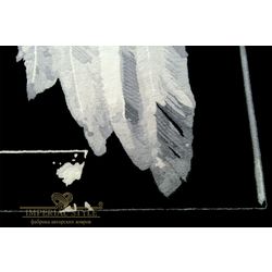 Империал-Стиль / Carpet "Wings"