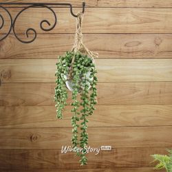 Kaemingk / Artificial succulent plant in Boston pots 15 cm