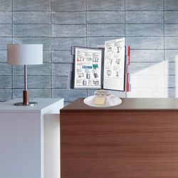 BRAUBERG / Demonstration system "SOLID" tabletop for 10 panels, with 10 color panels A4, gray