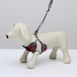 Пижон / Dude / Set of ammunition with a soft harness, size S (ОШ 20-40, ОГ 30-44 cm, leash 120x1 cm