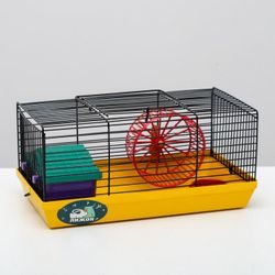 Пижон / Dude / Mini cage for rodents No. 1, 27 x 15 x 13 cm, yellow