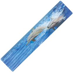 3D ruler, 20 cm BRAUBERG, three-dimensional, "Dolphins", Euro slot