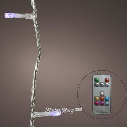 Kaemingk / Colorful RGB LED Lights, Transparent PVC, Remote Control, IP44