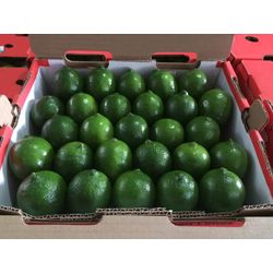 Fresh seedless lime
