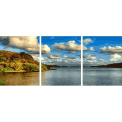 Опт-картина / Triptyque par numéros Rive