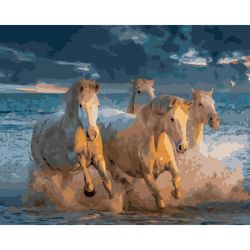 Опт-картина / Pintura por números galope 40x50 na água