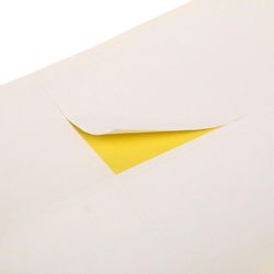 Calligrata / A4 self-adhesive labels 50 pages