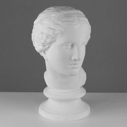 Мастерская Экорше / Plaster figure "Head of Aphrodite Knidos"
